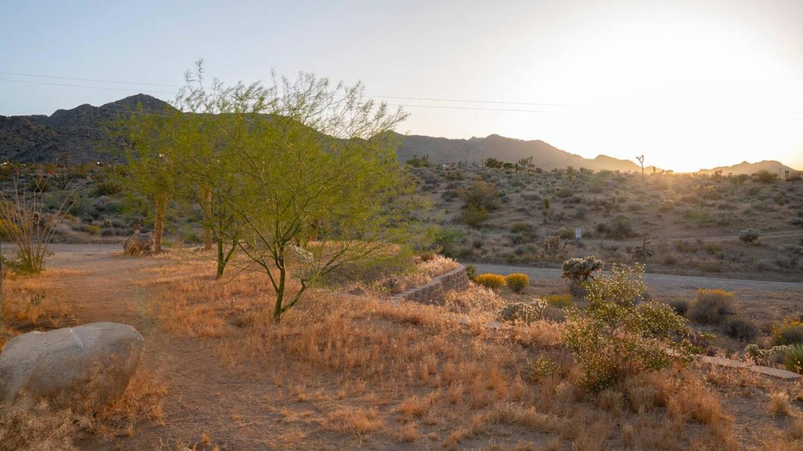 Experience Desert Serenity Gateway To Joshua Tree Eksteriør billede