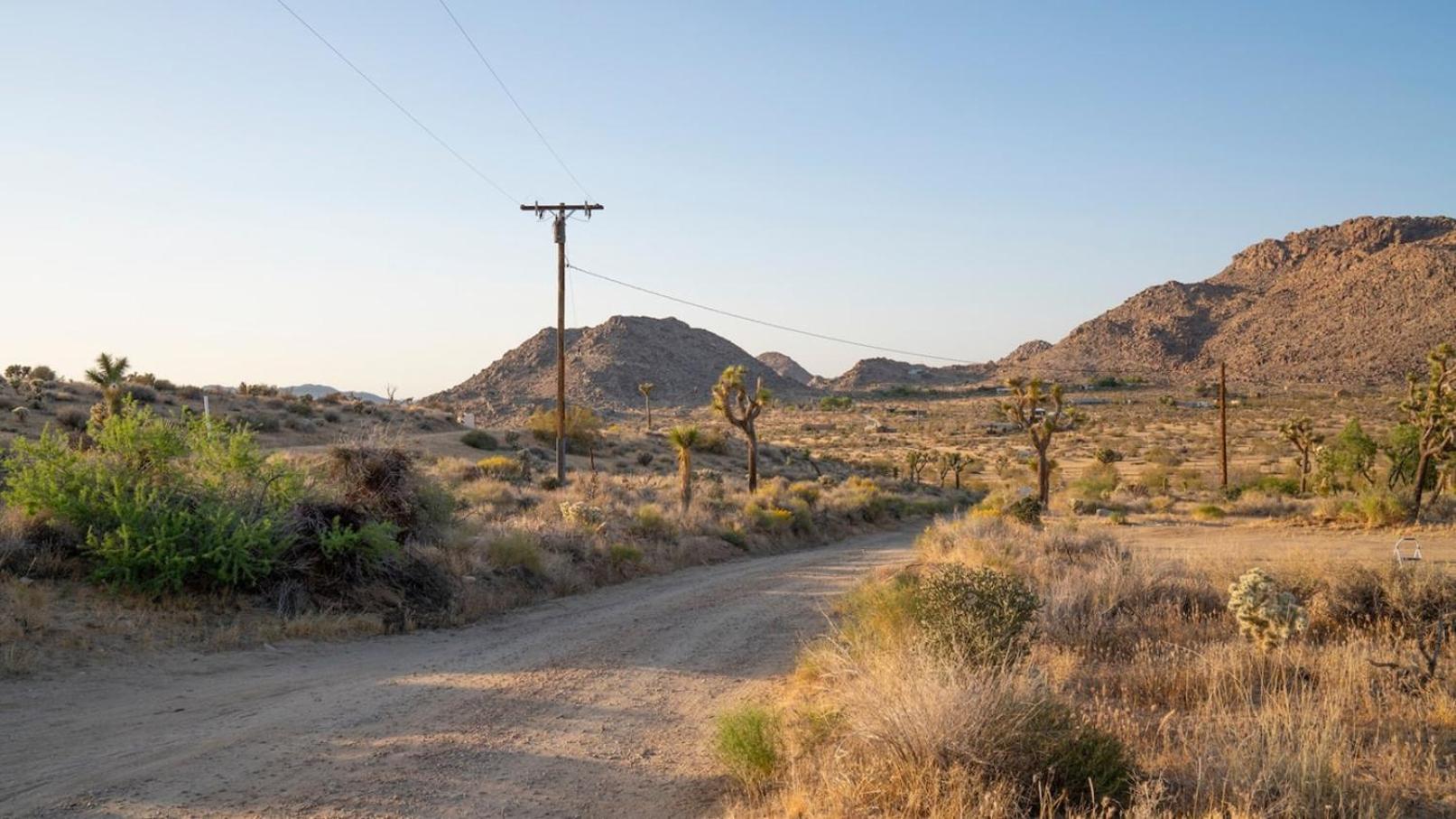 Experience Desert Serenity Gateway To Joshua Tree Eksteriør billede